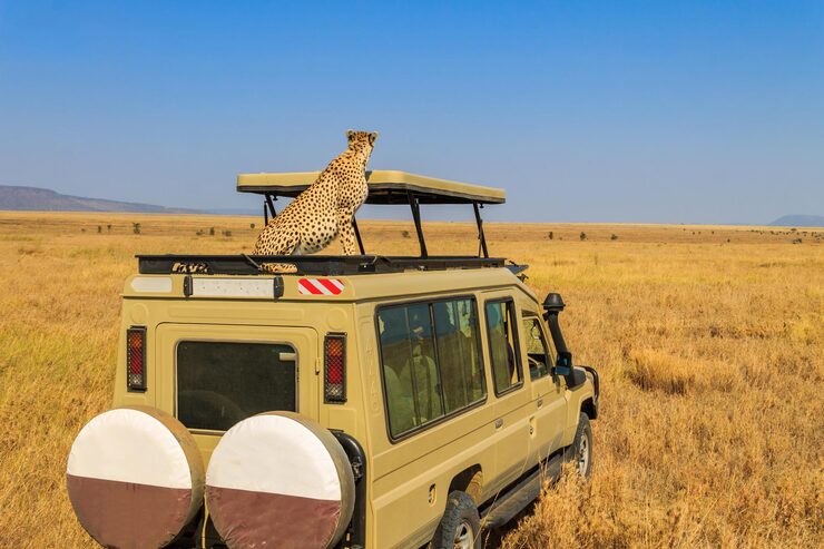 Maasai Mara Trips